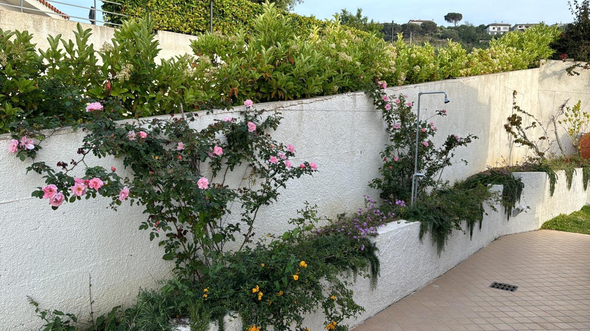 Villa Dei Fiori Zambrone Luaran gambar
