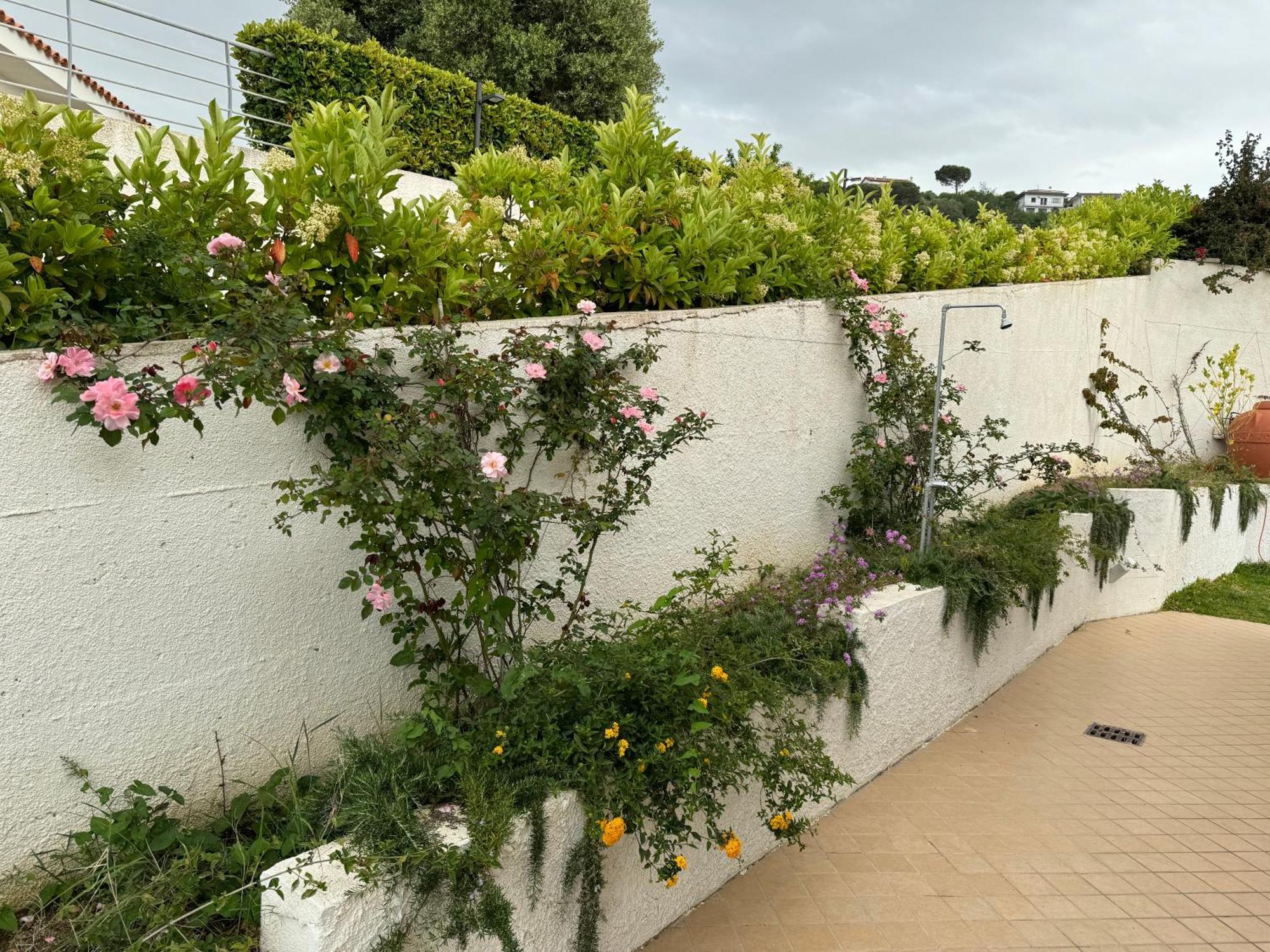 Villa Dei Fiori Zambrone Luaran gambar